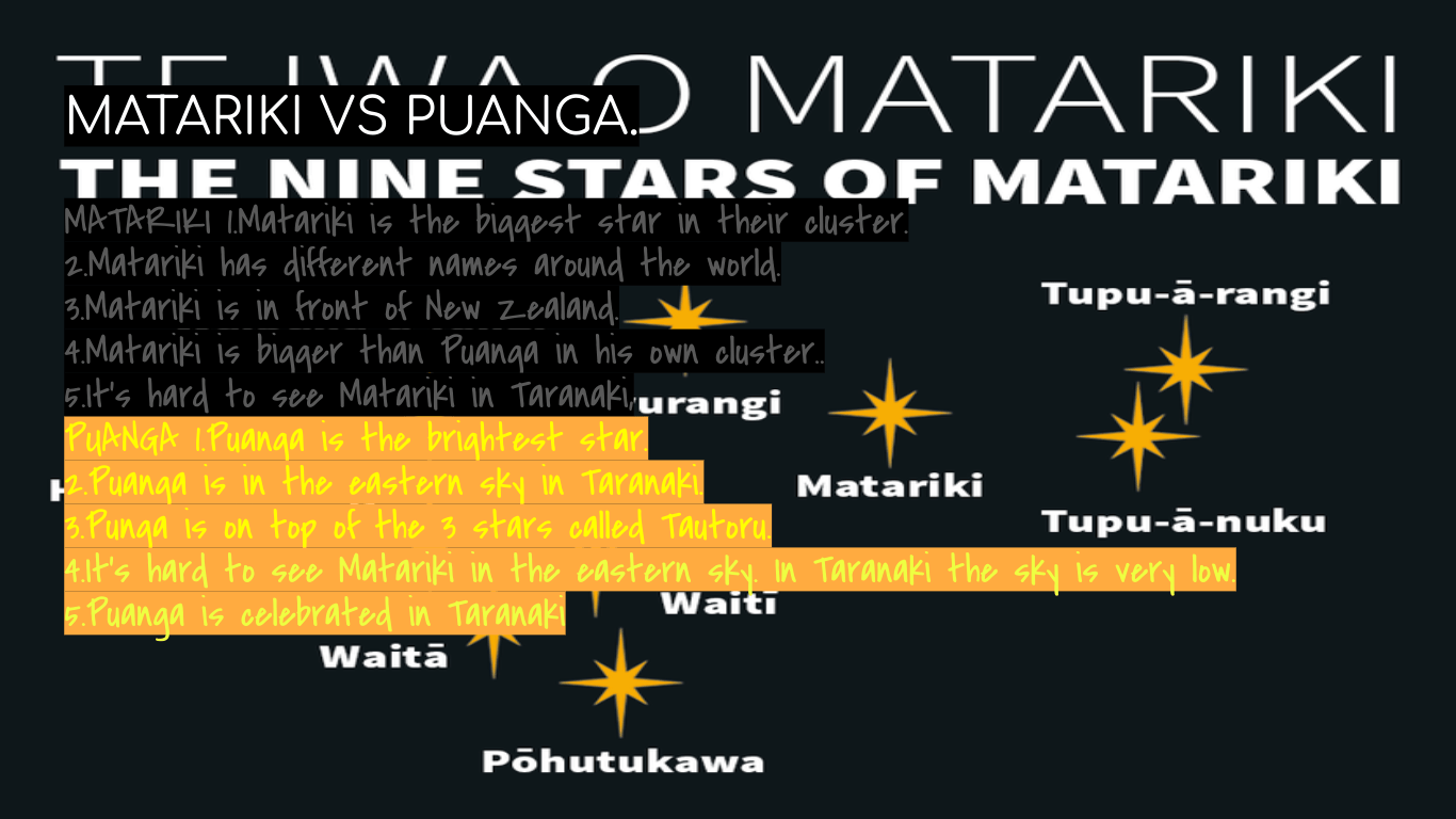 MATARIKI VS PUANGA. – George @ May Road School